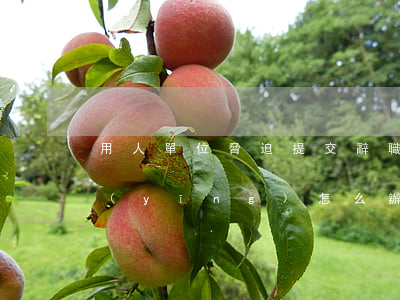 用人單位脅迫提交辭職申請(qǐng)應(yīng)怎么辦？